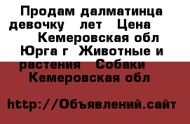 Продам далматинца-девочку 5 лет › Цена ­ 2 000 - Кемеровская обл., Юрга г. Животные и растения » Собаки   . Кемеровская обл.